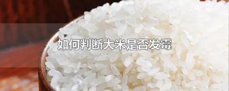 大米直链淀粉19%蛋白质6.6%水份11.7%好吗