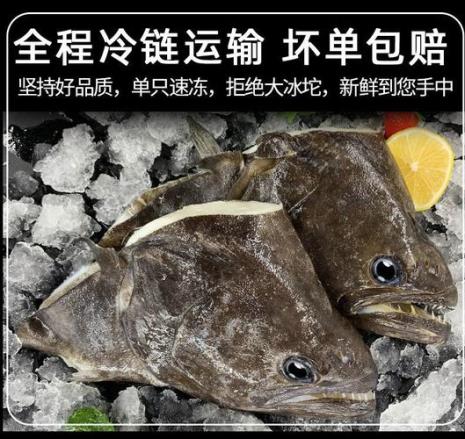 鲽鱼头和鸦片鱼的区别
