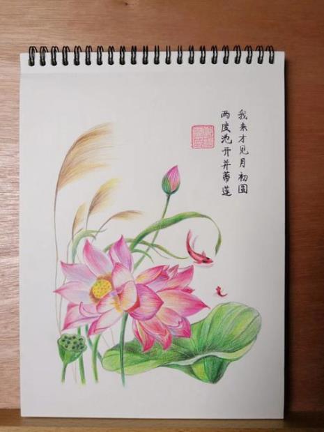 彩铅荷叶怎么上色