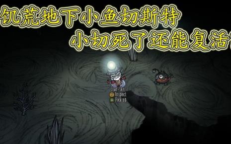 饥荒切斯特攻略