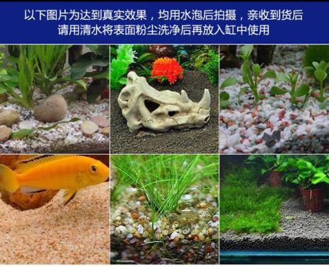 鱼缸用陶粒还是水晶砂