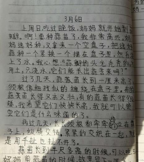 周记运用描写手法