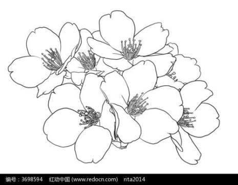 桃花的果子怎么画简笔画