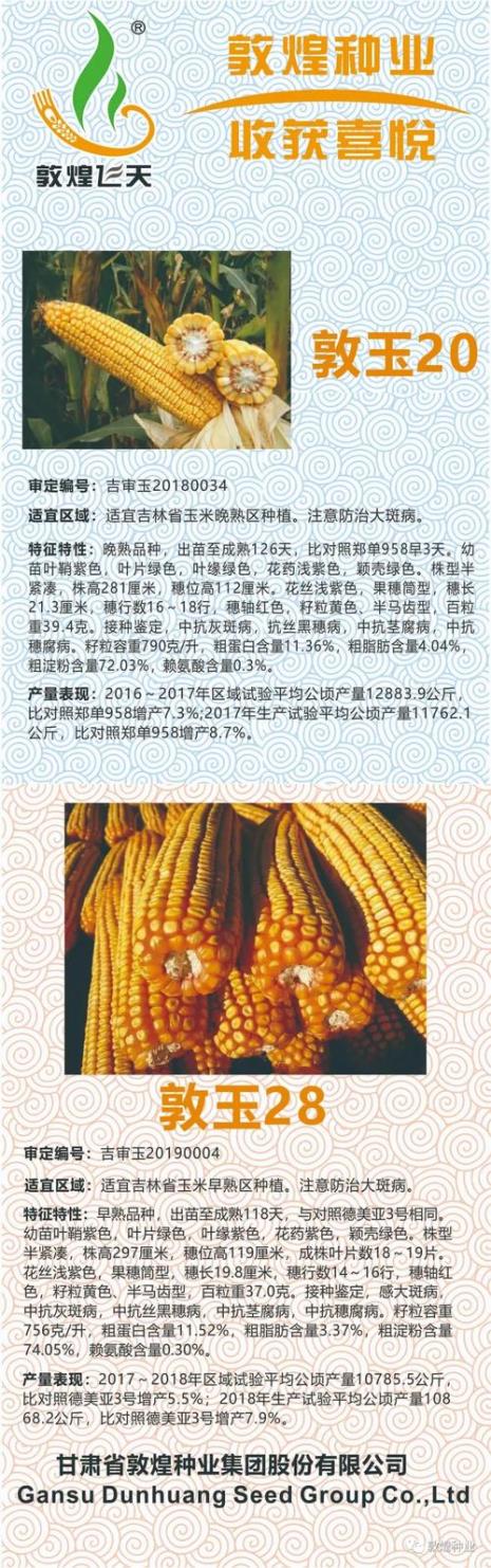 甘肃喜连丰种业种子怎么样