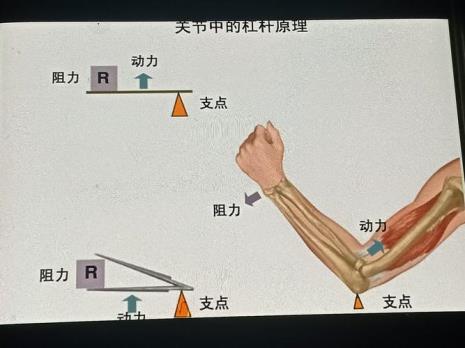 三级杠杆原理