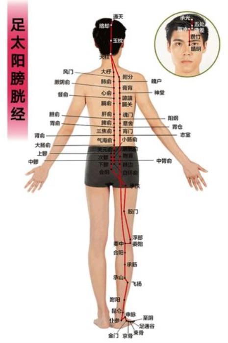 肾阴虚推哪条经络