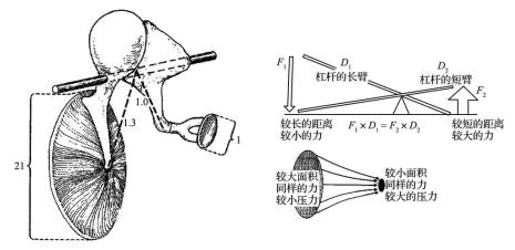 推力杠杆原理