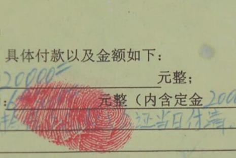 上海红色蓝色房产证区别