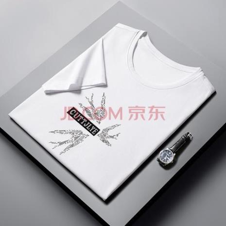 一只小燕子商标的男装品牌