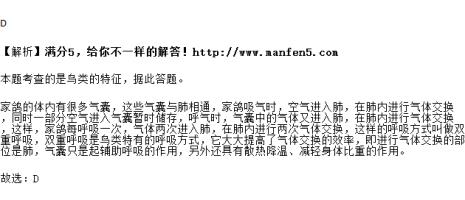 气囊算是鸟的呼吸器官吗