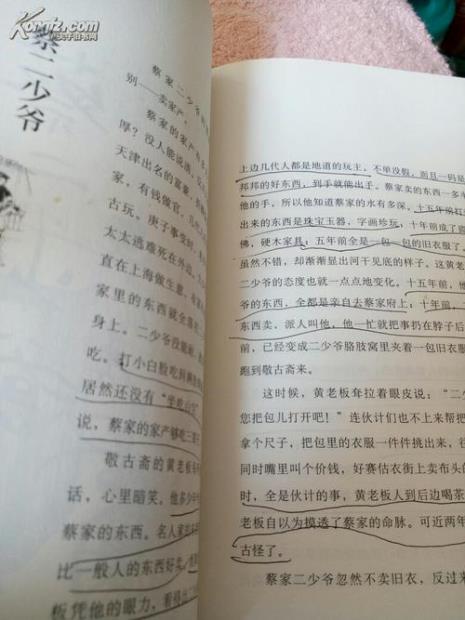 俗世奇人蓝眼的主要内容