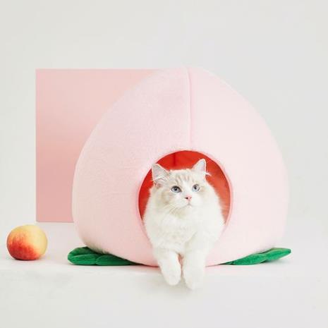 猫咪可以吃桃子吗