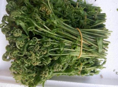 云南蔬菜名称