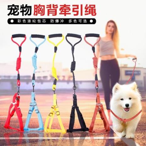 牵引绳怎么使用