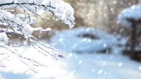 听风无忧落雪成眠什么意思