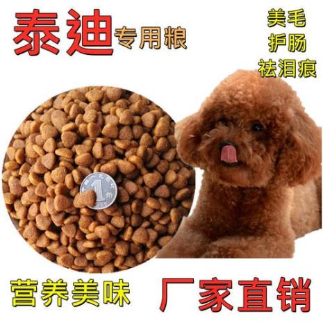 半年的泰迪喂什么狗粮好