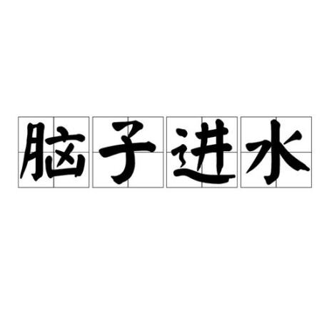 你脑子进水了怎么怼回去
