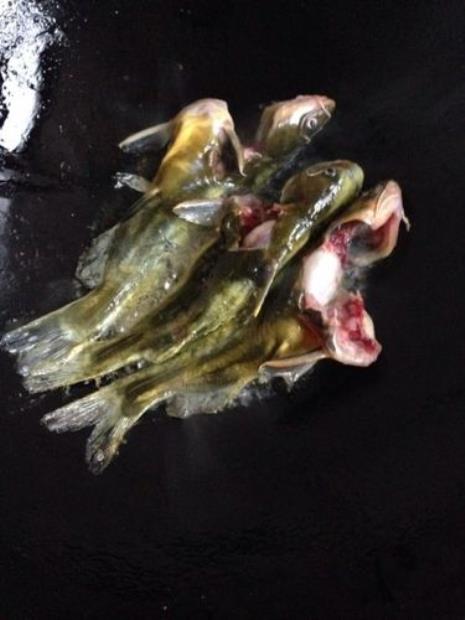 昂刺鱼鱼籽是什么样的