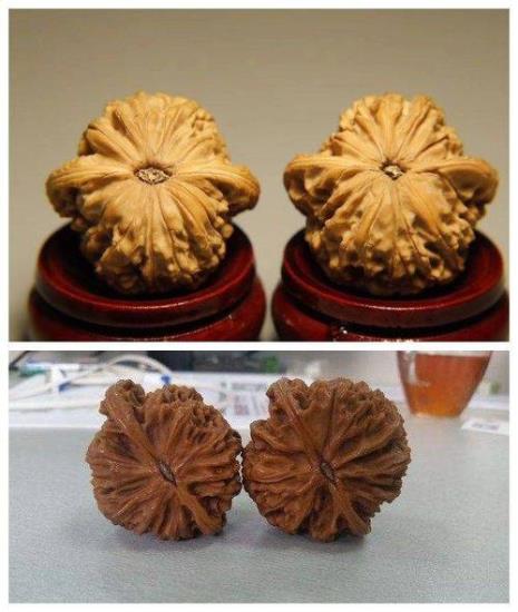 一对相似度几乎一样的核桃叫啥