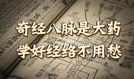 七经八脉是什么