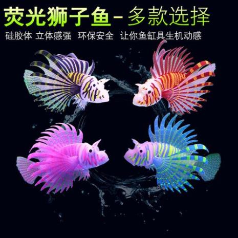 荧光鱼要保持多少温度