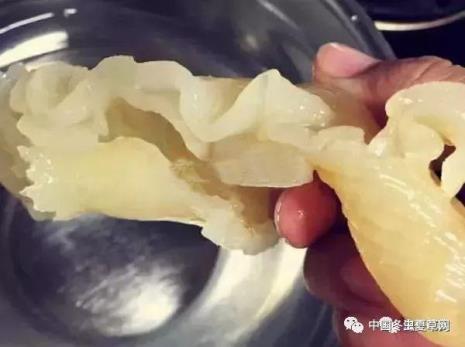 油发花胶泡发方法