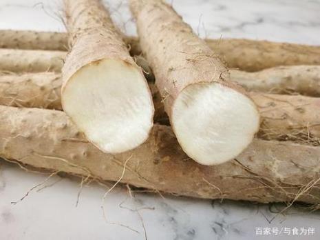 铁棍山药的品种