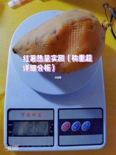 一份炸地瓜条的热量是多少