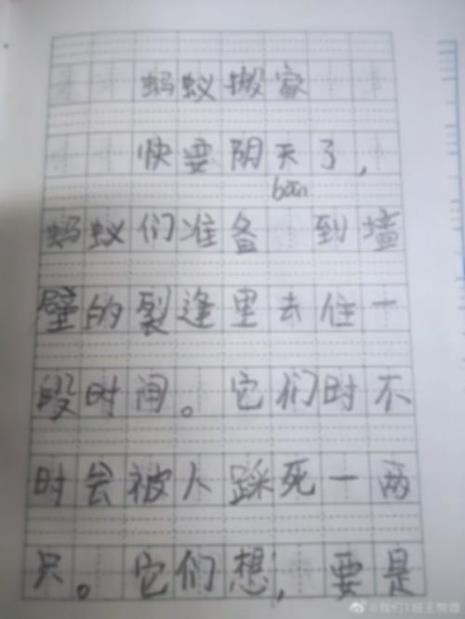 蚂蚁搬家的过程写一段话40字