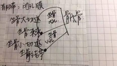 lauv是什么曲风