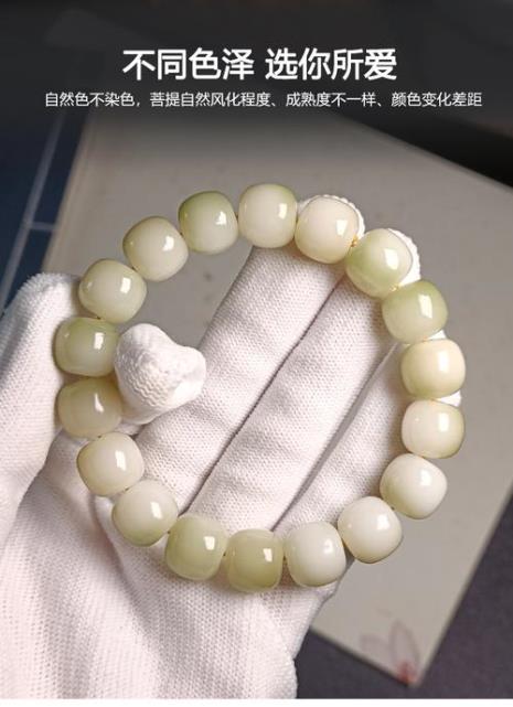佘太翠和菩提哪个好