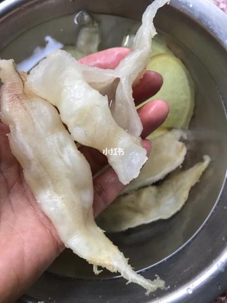 鱼胶怎样发