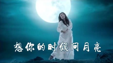 一天一夜的想你原唱