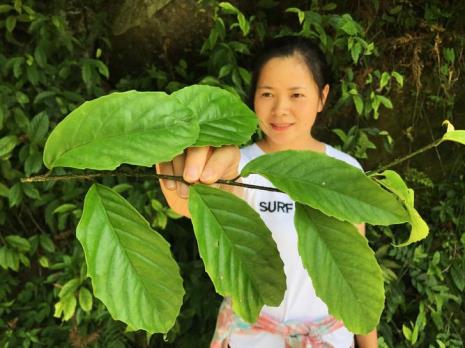 江西宜春的90后歌手叶子缘是谁