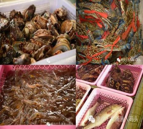 广海渔人码头买海鲜攻略