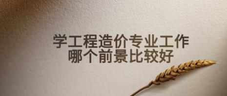 工程造价有前途吗