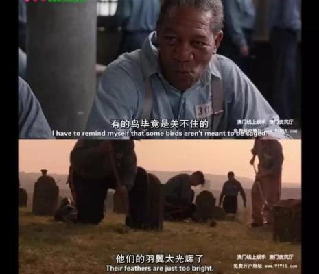 肖申克的救赎出狱前的经典对白