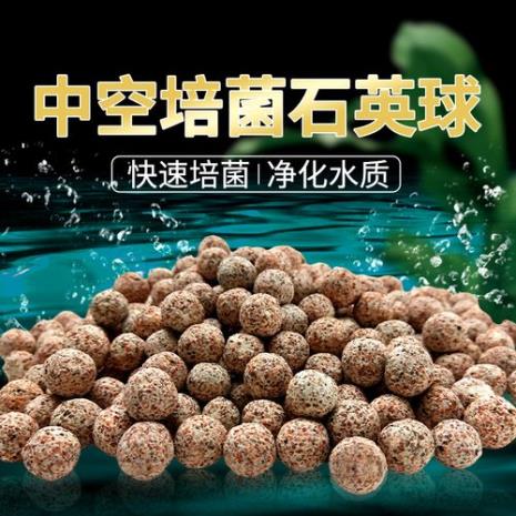 活性硝化细菌怎么用