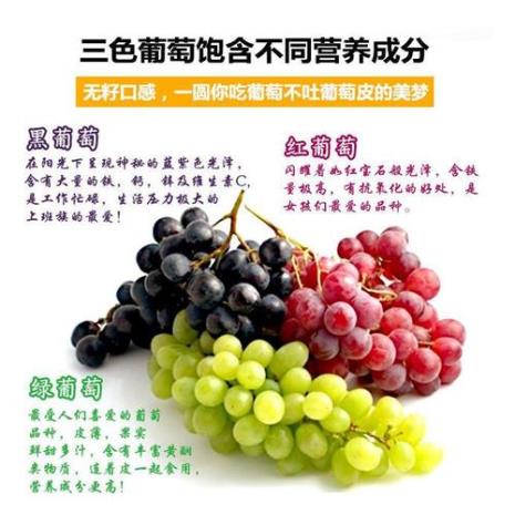 写葡萄颜色的排比句