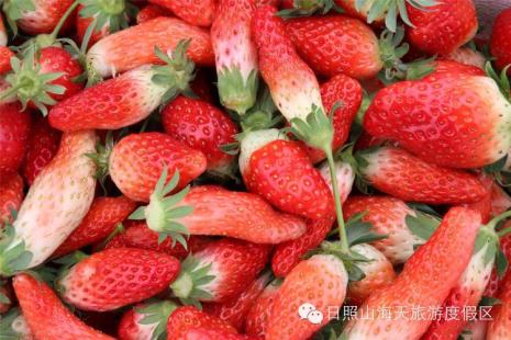 新摘的草莓怎么才能变甜