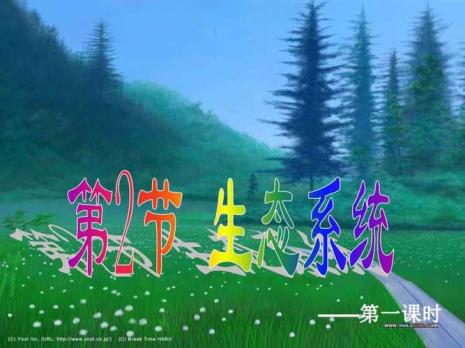 阳光空气水属于什么生态系统