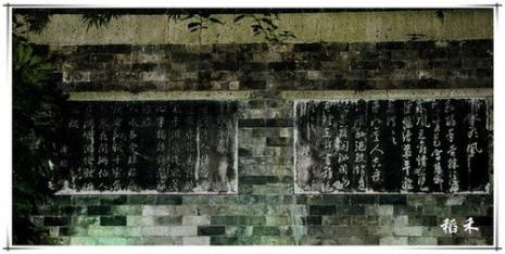 红手黄藤酒全文