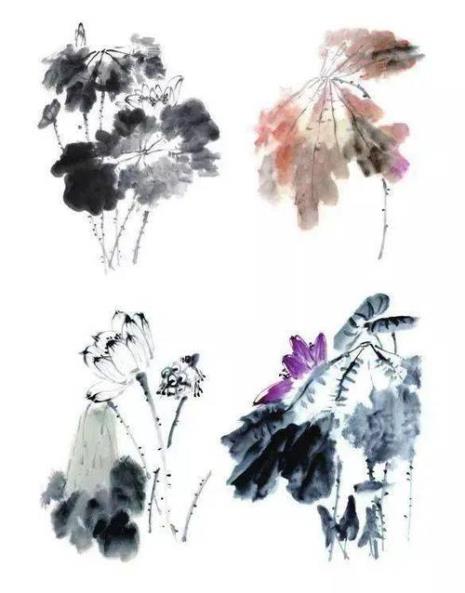 荷花的梗古代叫什么