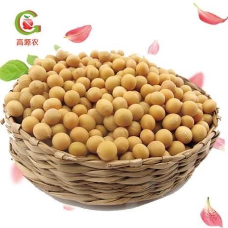 广西灵山黄豆酱的做法