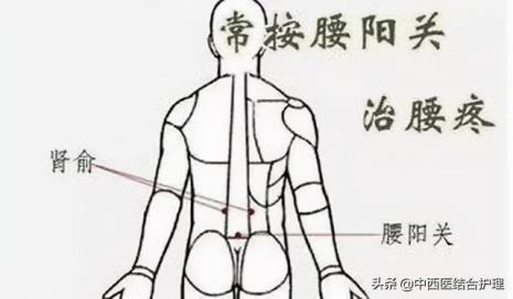 中极穴疼痛怎么回事