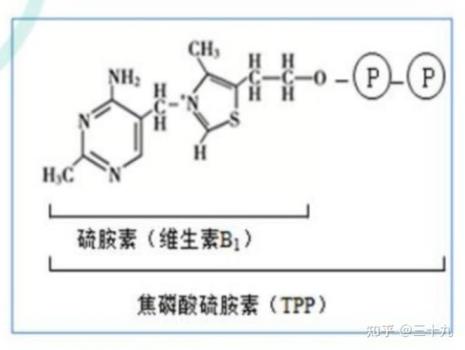 为什么甲基最不稳定