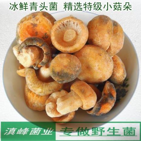 野生青头菌怎么保鲜