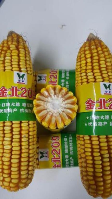 红轴超吨粮的玉米种有那些