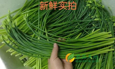 蒜苔和韭菜花的区别