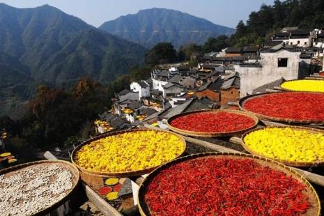 江西婺源篁岭晒秋几月份最好